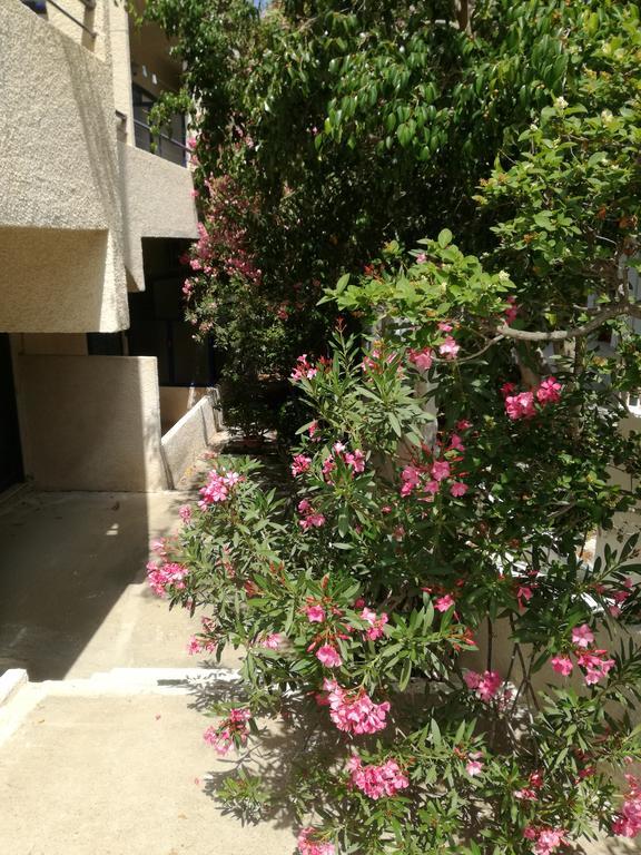 Pericles Studios Agia Marina  Extérieur photo